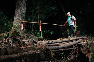 BIB: 
                            <button type="button" onclick="openModal(27428887)" class="btn btn-primary btn-sm float-right btn-popup" data-toggle="modal" data-target=".modal-high-quality">
                        <i class="fas fa-shopping-cart"></i> Add to Cart
                    </button>
                                            <button type="button" onclick="isThisMe(27428887, true)" class="btn btn-success btn-sm float-right btn-popup btn-isme hidden" data-toggle="tooltip" data-placement="bottom" title="นี่คือรูปของคุณใช่ไหม คลิกที่นี่เพื่อเอาเข้าอัลบั้ม">
                        <i class="fas fa-plus"></i> Add to album
                    </button>
                    <button type="button" onclick="isThisMe(27428887, false)" class="btn btn-warning btn-sm float-right btn-popup btn-isnotme hidden">
                        <i class="fas fa-ban"></i> Remove from album
                    </button>